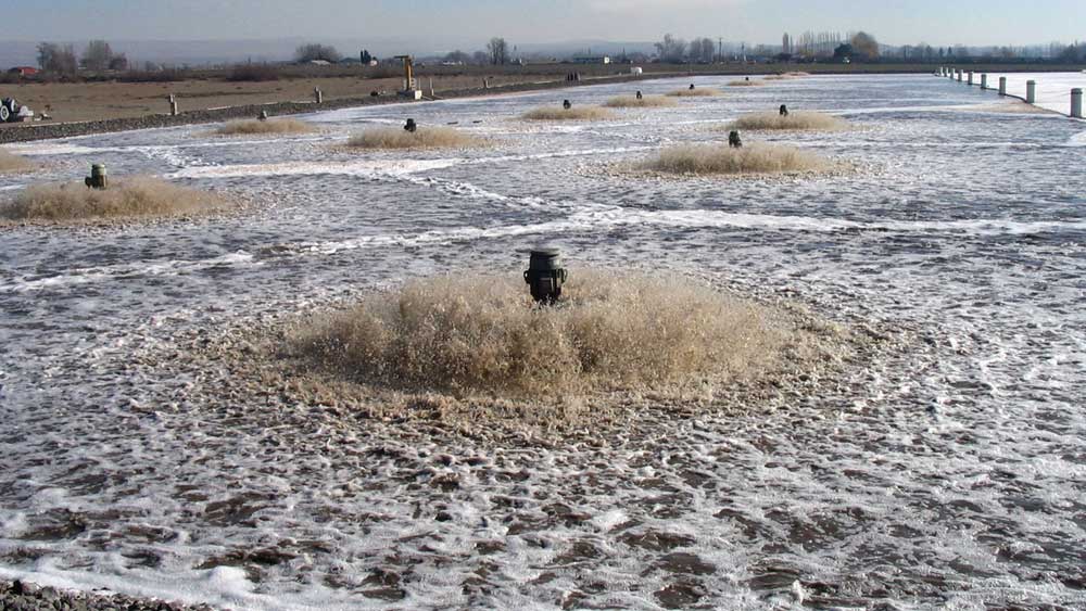 MÁY KHUẤY TRỘN BỀ MẶT ECOJET - USA