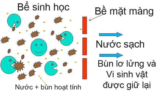 mang MBR so do hoat dong